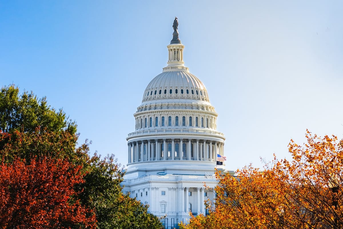 Federal software supply chain